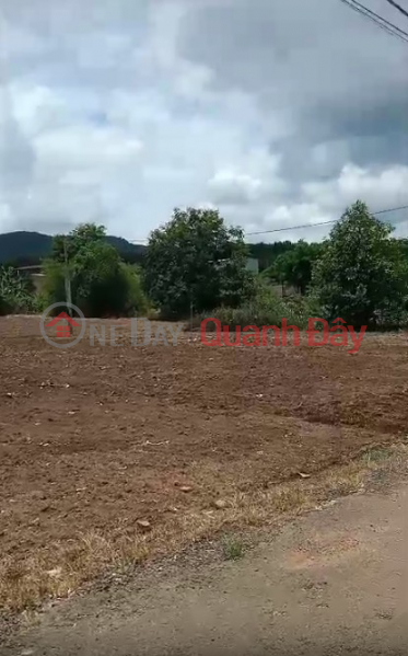 đ 250 Million | Price only 250 million VND - Own a beautiful plot of land in Chu Pah, Gia Lai - Just about 100m from National Highway 14.