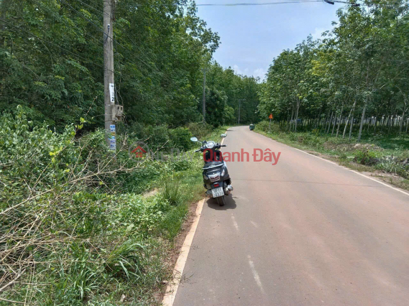 Property Search Vietnam | OneDay | Niêm yết bán Duy nhất 1 nền 2179m2 (20x100, 100 ODT),mặt tiền Tân Lập 02, giáp Visip3 chỉ 7,5 tỷ thương lượng