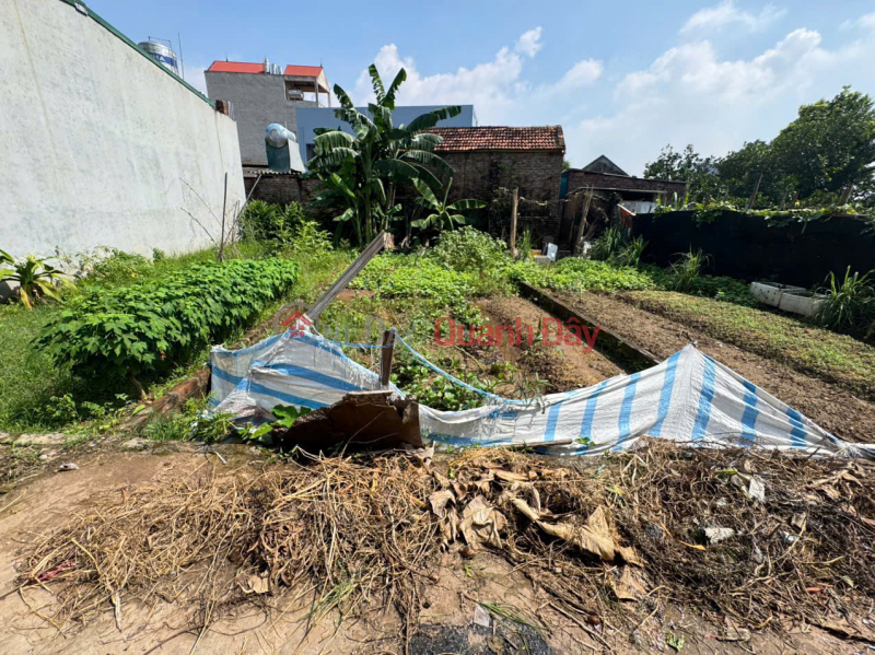 Property Search Vietnam | OneDay | Nhà ở, Niêm yết bán | Đất đẹp Bạch Đa, Kim Hoa, Mê Linh. Lô đất nhỏ, siêu hiếm