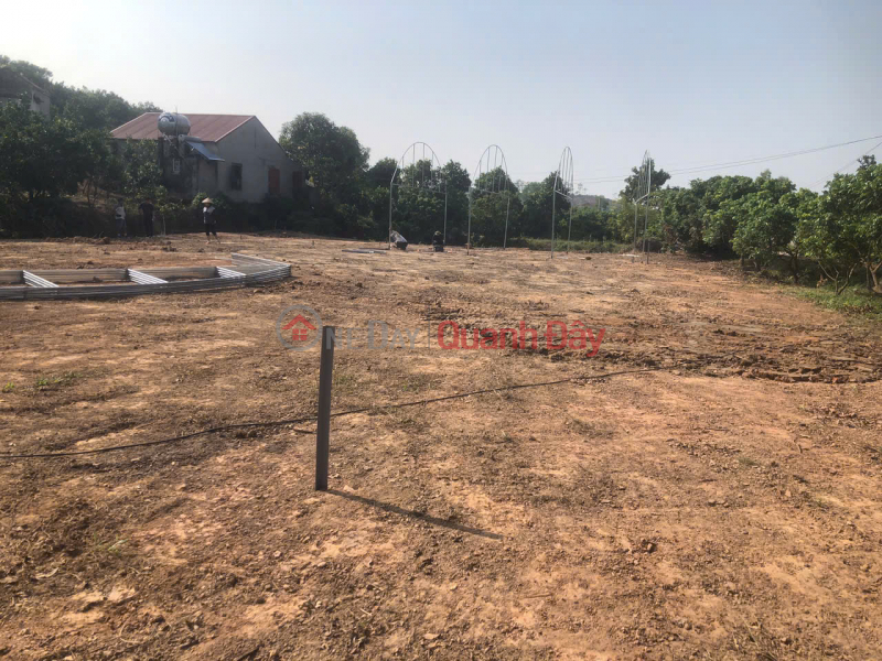 Property Search Vietnam | OneDay | Residential | Sales Listings | BUY LAND WITH RED BOOK AND STORE IN A SAFE PRICE FROM 500-660 MILLION - EVERY MONTH, STILL RECEIVE CASH FLOW FROM LAND EXPLOITATION