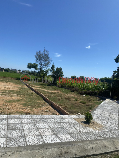 Selling investment land in Binh Quy, Thang Binh Sales Listings