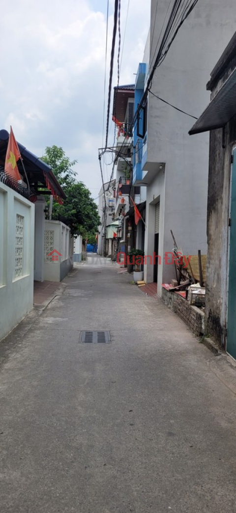 Owner selling land in Co Duong, Tien Duong, Dong Anh - 52.2m2, 10m planned road, good investment opportunity. _0
