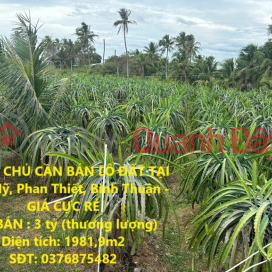 CHÍNH CHỦ CẦN BÁN LÔ ĐẤT TẠI Hàm Mỹ, Phan Thiết, Bình Thuận - GIÁ CỰC RẺ _0