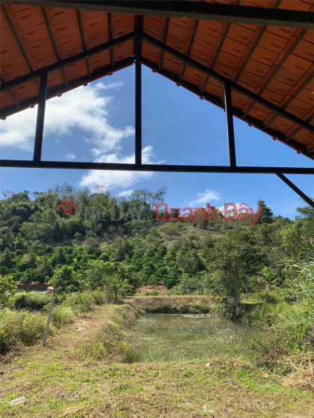 Property Search Vietnam | OneDay | Nhà ở, Niêm yết bán, ĐẤT ĐẸP – GIÁ TỐT – CHÍNH CHỦ CẦN BÁN LÔ ĐẤT TẠI TDP .Nghĩa Hoà, TP. Gia Nghĩa, tỉnh Đắk Nông.