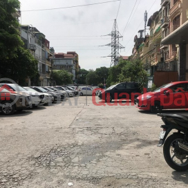 Nguyễn Du biệt thự sân vườn, mặt phố ô tô tránh đỗ kinh doanh _0