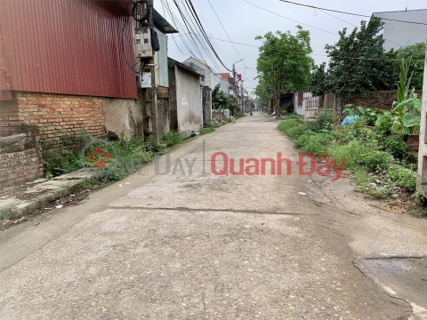 Selling 69.3m2 of land in Dinh Trung village, Xuan Non, Dong Anh. Car-accessible road - 100% residential land _0