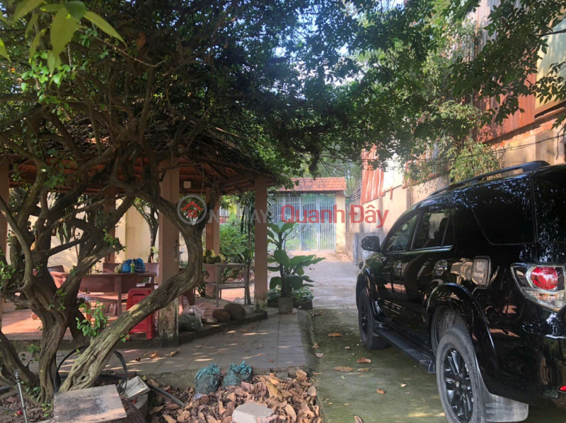 Property Search Vietnam | OneDay | Nhà ở, Niêm yết bán | NHÀ VƯỜN ĐẸP – CHÍNH CHỦ CẦN BÁN Nhà Vườn Mặt Tiền Đường Nam Cao, P. Tân Mai, Biên Hòa, Đồng Nai