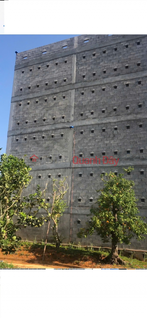 Owner selling house and land with existing swiftlet farm, area 1249m², in Nam Cat Tien, Tan Phu, Dong Nai. _0