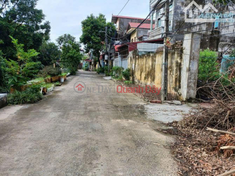 Land for sale next to Highway 36 extension, Bang An, Que Vo, Bac Ninh Vietnam, Sales đ 50 Million