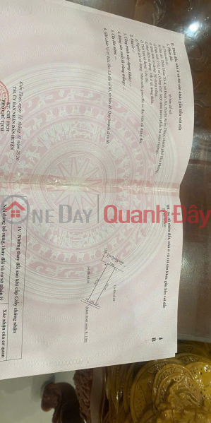 BÁN LÔ ĐẤU GIÁ ĐOÀN XÁ – GIÁ HIẾM KHU VỰC, ĐƯỜNG 6M, 4 ĐƯỜNG THÔNG ZALO 0567 222 555 Niêm yết bán