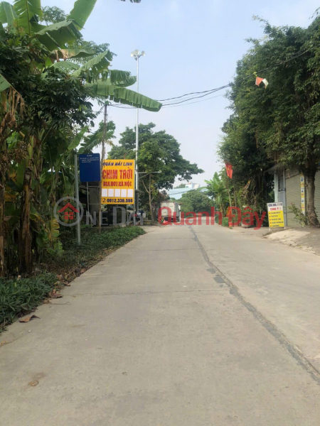 Hot land in Hoang Dieu - Chuong My - Hanoi. Area of 134m2 of inter-commune dike road surface. Sales Listings