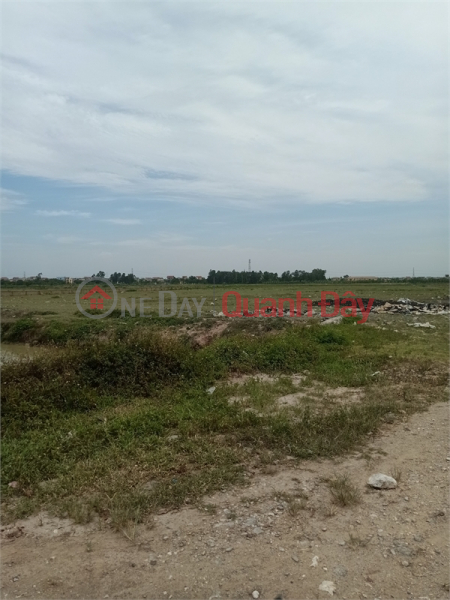 đ 190 Million 1.6ha industrial land for sale for 50 years in Song Mai Commune, Bac Giang City