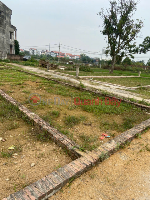 Urgent sale of a 60m² corner plot in Group 9, Quang Minh, near the industrial zone - car parking available - price 3 billion VND. _0