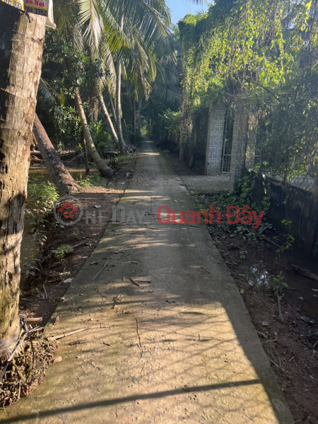 Property Search Vietnam | OneDay | Residential Sales Listings OWNER Needs to Sell Land with 2 Fronts Quickly in Hoa Loc Commune, Ben Tre