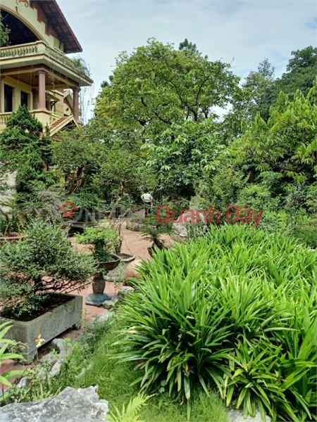 Property Search Vietnam | OneDay | Residential Sales Listings, Selling 115m2 of land on Ngo Gia Kham Street, Ngoc Lam, Long Bien, Hanoi