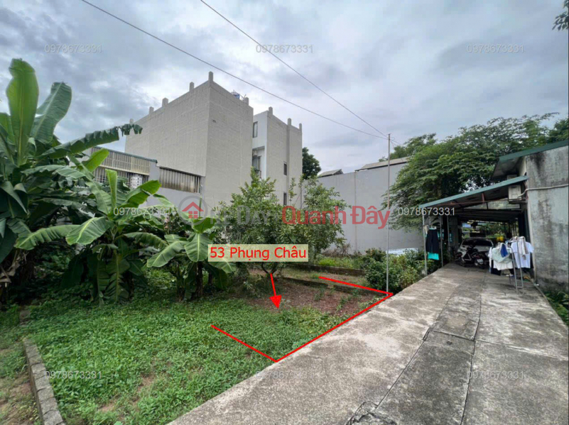 PROFITABLE INVESTMENT PRODUCT IN PHUNG CHAU-CHUONG MY AREA: 53m2 Sales Listings