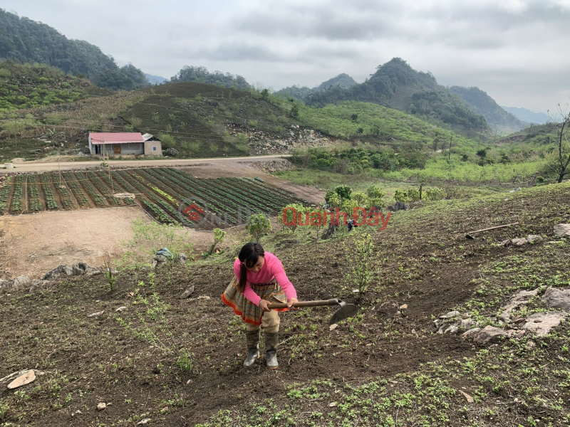  | Làm ơn chọn, Niêm yết bán | đ 8,5 tỷ