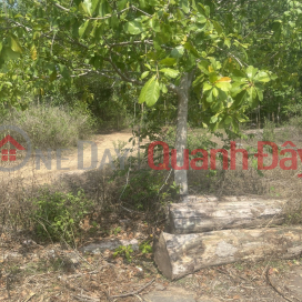 (For sale by owner) 8m asphalt road, An Vien commune, Trang Bom district, Dong Nai province (land adjacent to district 9, city _0