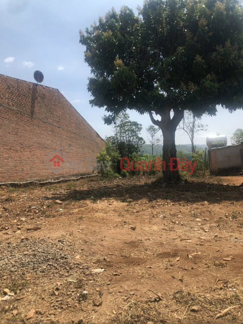 OWNER - FOR SALE Agricultural Land Plot in Village 2, Hoa Phu Commune, Chu Pah, Gia Lai _0