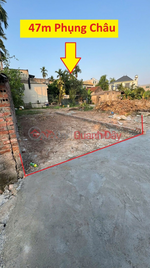 CHÍNH CHỦ CẦN BÁN LÔ ĐẤT 47M TẠI PHƯỢNG NGHĨA-PHỤNG CHÂU-CHƯƠNG MỸ-HÀ NỘI _0