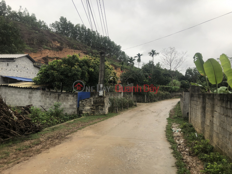 Land plot for sale by OWNER in Luc Ba commune, Dai Tu, Thai Nguyen. Near Nui Coc lake Sales Listings