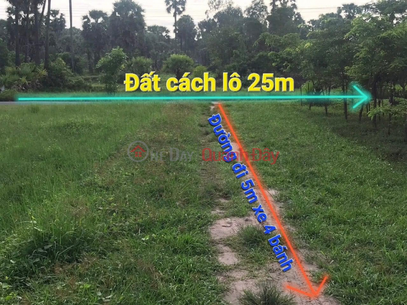 SELL 3.6 BHK LAND NEAR KIM TIEN CHAPTER - TINH BIEN Sales Listings