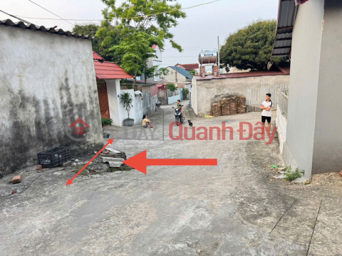 Đầu Tư Sinh Lời Hoặc An Cư Lý Tưởng Tại Thôn Xuân Lễ, Tân Dân, Sóc Sơn - Mảnh Đất 90m² Đắc Địa _0