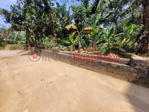 HOT item, center of Tien Phuong commune, Chuong My, beautiful land lot, 2 sides, airy alley, 46.4m2 _0