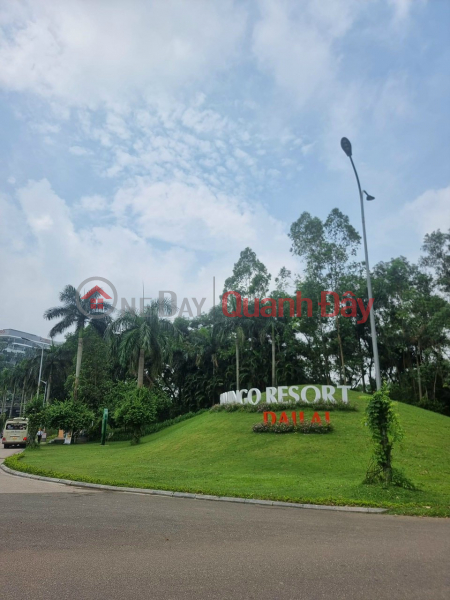 The owner wants to urgently sell the resort villa Flamingo Dai Lai Resort 320m2 for 17 billion Sales Listings