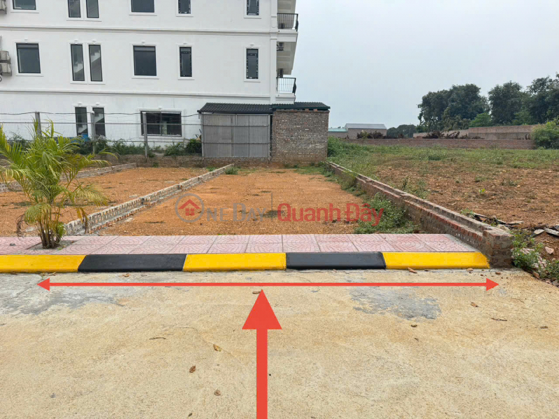 Urgent sale of 100m² land in Thai Lai, Minh Tri, Soc Son. Paved road, sidewalk, perfectly square., Vietnam | Sales, đ 1.9 Billion