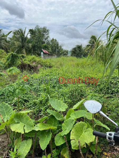 Property Search Vietnam | OneDay | Residential Sales Listings, PRIME LAND - GREAT PRICE - URGENT SALE OF A PLOT OF LAND WITH HIGH POTENTIAL IN PHU KHUONG WARD, BEN TRE CITY (near CFE 999 alley)