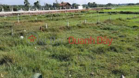 Urgent sale of frontage on road number 20, Lac Ha Hamlet, Lac Tanh Town, Tanh Linh District, Binh Thuan Province. _0