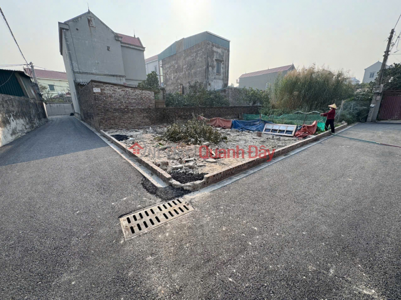 Land for sale in Dong Nguyen Khe village (old) - Phuc Thinh - 52m2 Corner lot - Car access Sales Listings