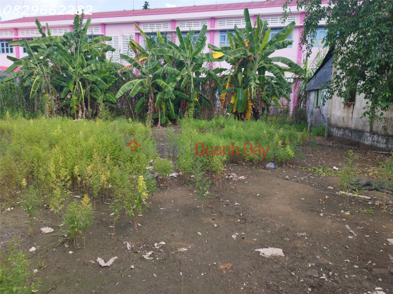 Bán Đất Thổ Cư 547m2 Sổ Hồng đường 848, Tân Khánh Đông, Sa Đéc. Hướng Đông Nam. Giá 2.6 tỷ. | Việt Nam | Bán đ 2,6 tỷ