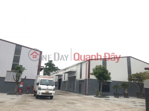 Warehouse for rent with area 500-700m2, Street 6, Hoa Khanh Industrial Park, Da Nang City _0