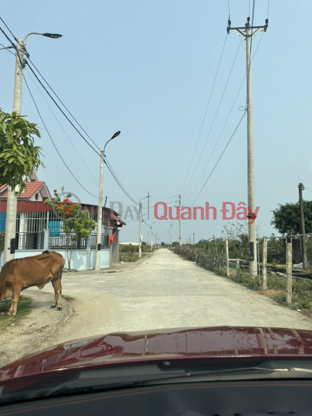 Property Search Vietnam | OneDay | Residential | Sales Listings, PRIMARY LAND - GOOD PRICE - Front Lot In Hau Loc district, Thanh Hoa province