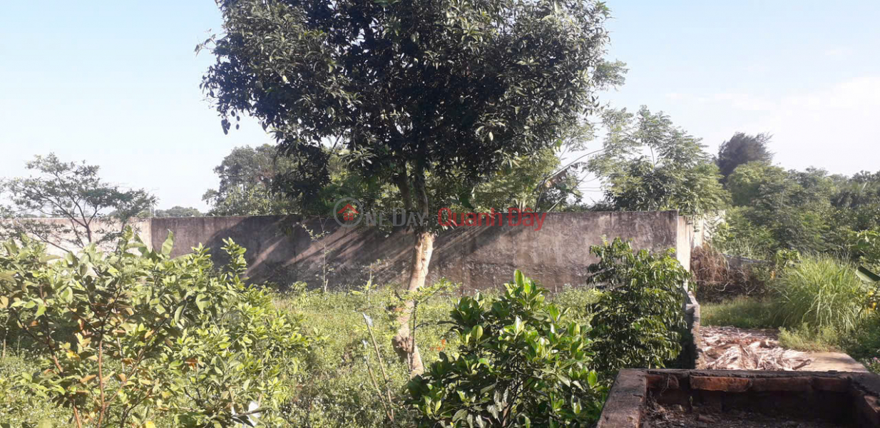 GẤP GẤP –CHÍNH CHỦ CẦN BÁN LÔ ĐẤT VỊ TRÍ tại xã Hoằng Đạo, huyện Hoằng Hóa, tỉnh Thanh Hóa Việt Nam Bán đ 2,56 tỷ