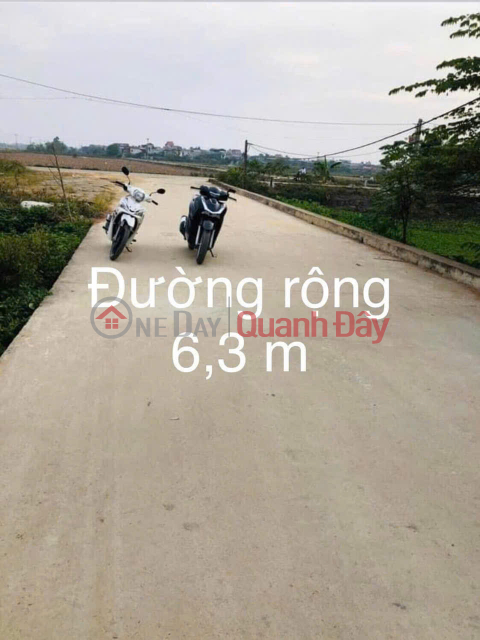 Owner sells auctioned land in the old Hoang Long commune center (new Phuong Duc commune, Hanoi city) _0