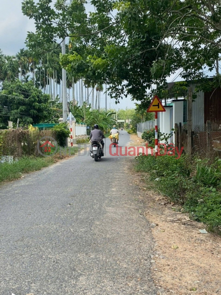 Đất SHR Nở hậu HXH 438m2 – Hiệp Thạnh Tây Ninh S | Việt Nam, Bán | đ 1,5 tỷ
