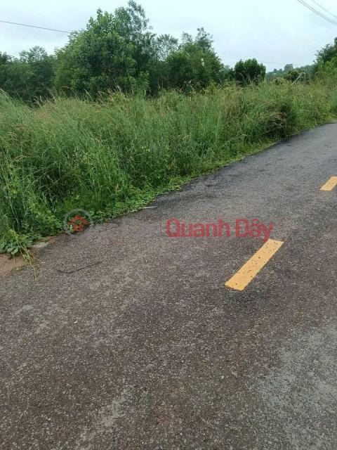 LAND FOR SALE BY OWNER - FRONTAGE An Long Commune, Phu Giao, Binh Duong _0