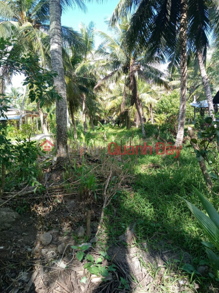 đ 2.5 Billion, Beautiful Land For Sale - Very Cheap Price In Minh Duc Commune, Mo Cay Nam District, Ben Tre