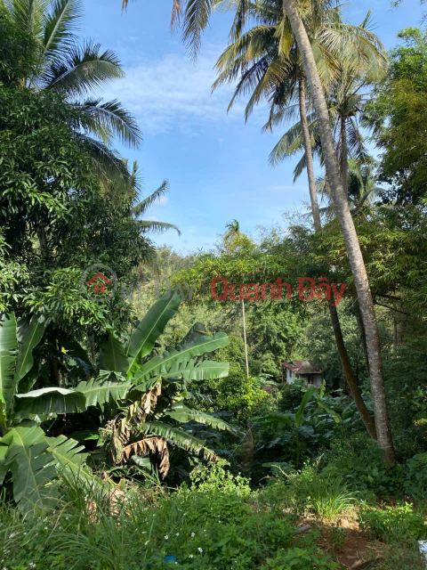 GREAT PRICE - OWNER SELLING QUICKLY: Plot of Land with Frontage on Y Jút Street, Buon Ma Thuot City _0
