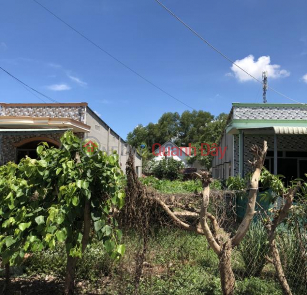 Property Search Vietnam | OneDay | , Sales Listings, Land for sale in front of Huynh Tri Manh street, My Xuan, Phu My town, area 280m2 (6 x 47) price 5.5 billion