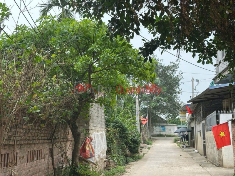 CHÍNH CHỦ BÁN LÔ ĐẤT 227M TẠI NAQM PHƯƠNG TIẾN-CHƯƠNG MỸ-HÀ NỘI, Việt Nam, Bán đ 3,5 tỷ