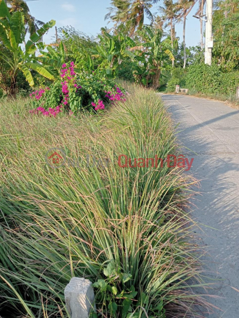 Beautiful Land - Good Price - Land Lot For Sale In Phu Thanh Commune, Tan Phu Dong District, Tien Giang _0
