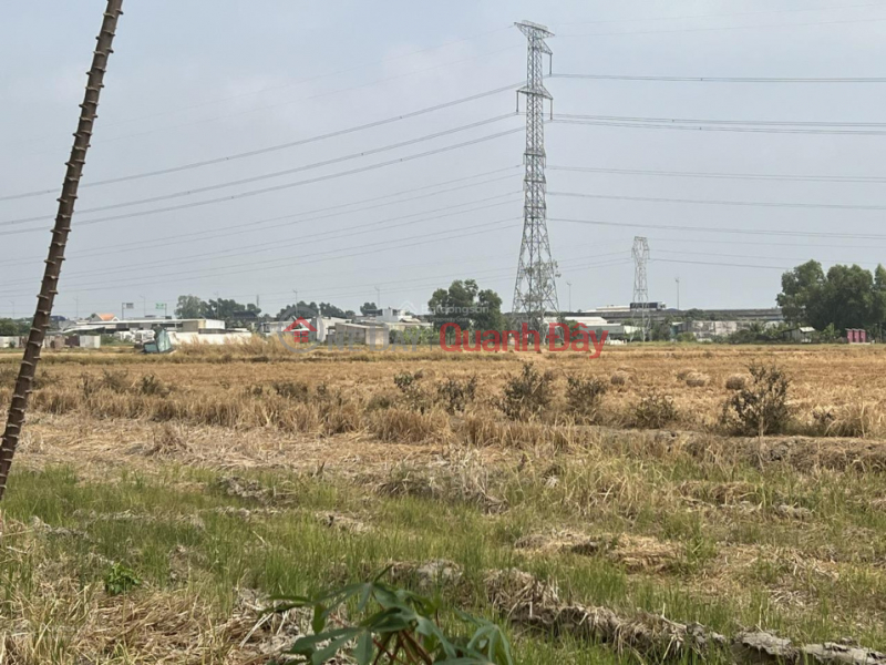 đ 14 Billion Land for sale in Tan Buu, Ben Luc, Long An 20,335m2 price 3.5 million\\/m2 300m from Nguyen Huu Tri street