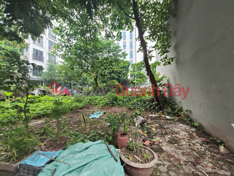 Commercial land for sale in Dong De, Duong Noi, area 50m2, frontage 4m, suitable for car access, price 12.5 billion VND, Ha Dong. _0