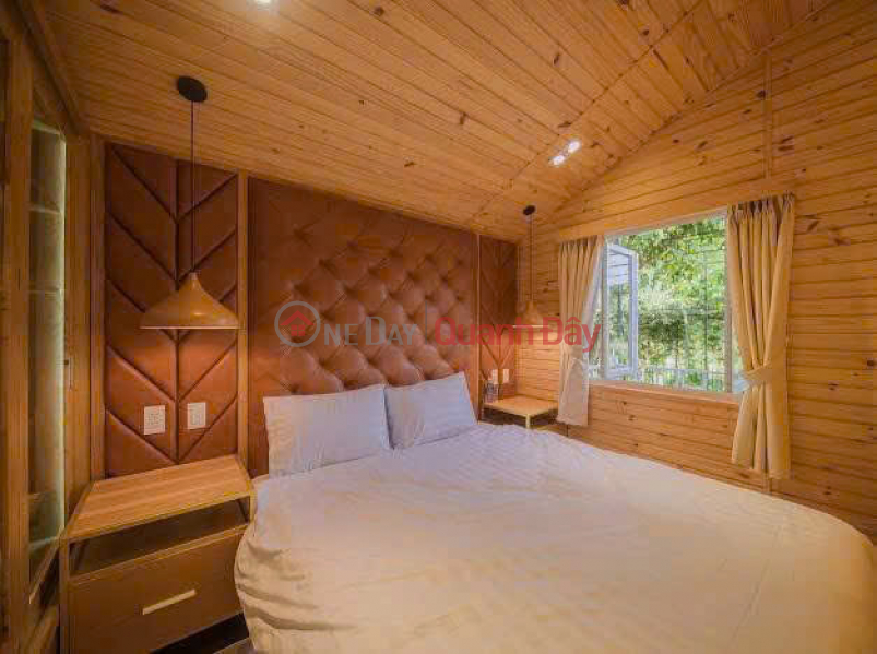 Property Search Vietnam | OneDay | Nhà ở | Niêm yết cho thuê Cho thuê homestay khuôn viên 2.000m2 4 bungalow view rừng thông giá 35 triệu tại Tà Nung Đà Lạt Lâm Đồng