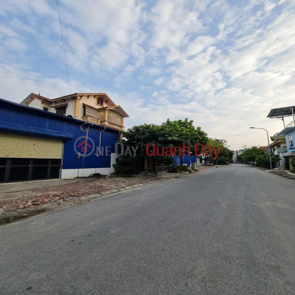 Land for sale at auction 31ha Trau Quy, Gia Lam, Hanoi.123m2. 15m road. Sales Listings