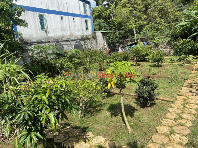 Property Search Vietnam | OneDay | Residential, Sales Listings BEAUTIFUL LAND - GOOD PRICE - OWNERS Urgent sale of beautiful land lot in Pleiku City, Gia Lai Province